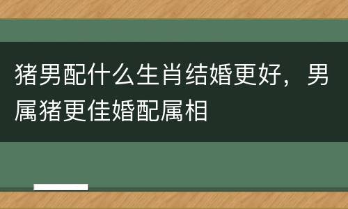 猪男配什么生肖结婚更好，男属猪更佳婚配属相