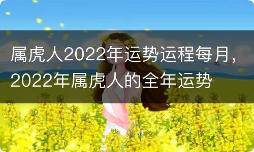 属虎人2022年运势运程每月，2022年属虎人的全年运势