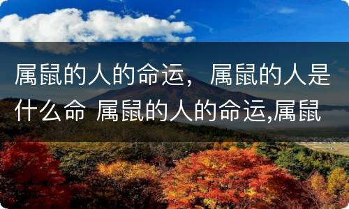 属鼠的人的命运，属鼠的人是什么命 属鼠的人的命运,属鼠的人是什么命运
