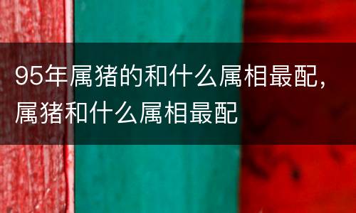95年属猪的和什么属相最配，属猪和什么属相最配