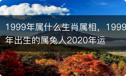 1999年属什么生肖属相，1999年出生的属兔人2020年运