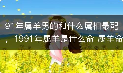 91年属羊男的和什么属相最配，1991年属羊是什么命 属羊命