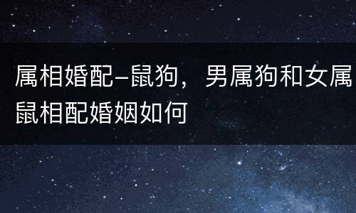 属相婚配-鼠狗，男属狗和女属鼠相配婚姻如何