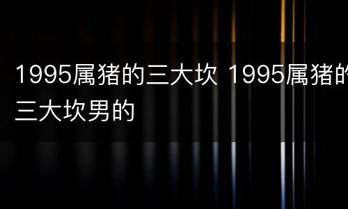 1995属猪的三大坎 1995属猪的三大坎男的
