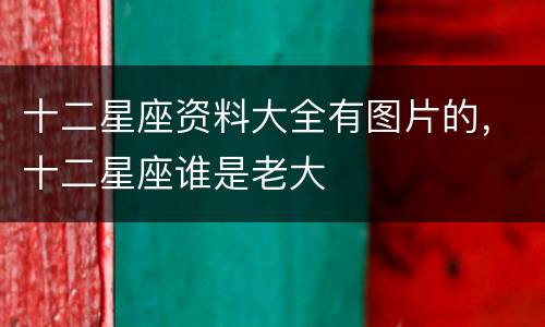 十二星座资料大全有图片的，十二星座谁是老大