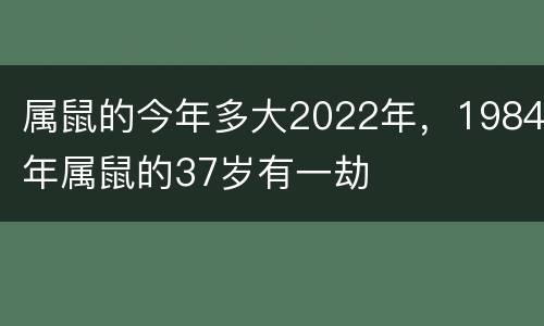 属鼠的今年多大2022年，1984年属鼠的37岁有一劫
