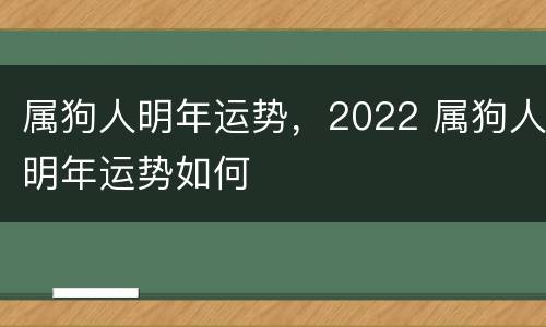 属狗人明年运势，2022 属狗人明年运势如何