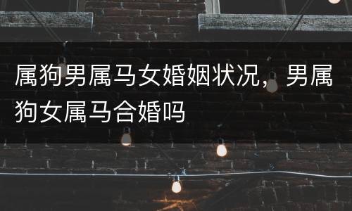 属狗男属马女婚姻状况，男属狗女属马合婚吗