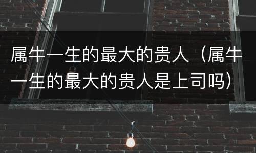 属牛一生的最大的贵人（属牛一生的最大的贵人是上司吗）