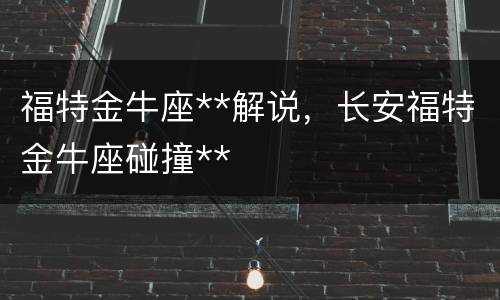 福特金牛座**解说，长安福特金牛座碰撞**