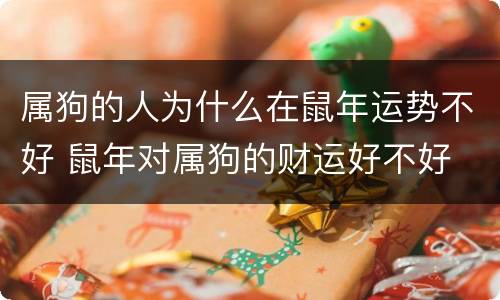 属狗的人为什么在鼠年运势不好 鼠年对属狗的财运好不好