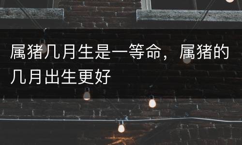 属猪几月生是一等命，属猪的几月出生更好