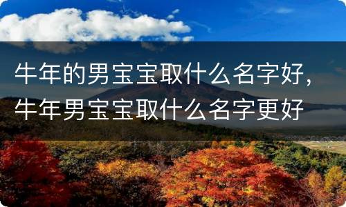 牛年的男宝宝取什么名字好，牛年男宝宝取什么名字更好
