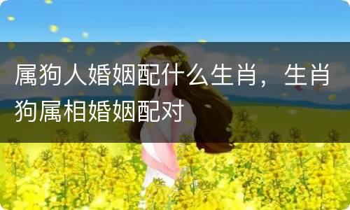 属狗人婚姻配什么生肖，生肖狗属相婚姻配对