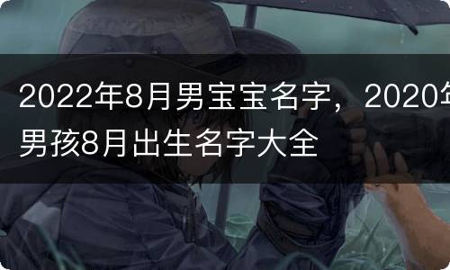2022年8月男宝宝名字，2020年男孩8月出生名字大全