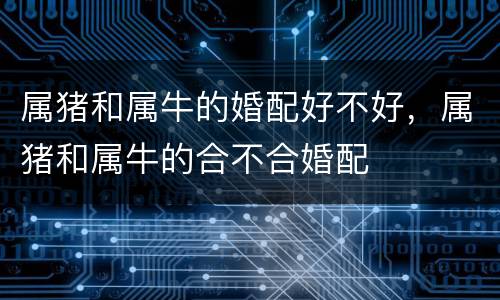 属猪和属牛的婚配好不好，属猪和属牛的合不合婚配