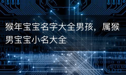 猴年宝宝名字大全男孩，属猴男宝宝小名大全