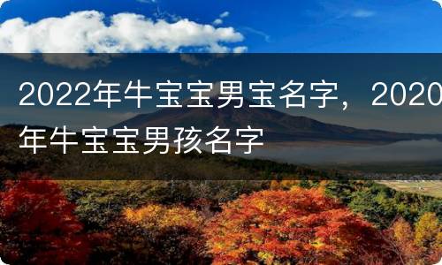 2022年牛宝宝男宝名字，2020年牛宝宝男孩名字