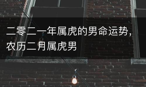二零二一年属虎的男命运势，农历二月属虎男
