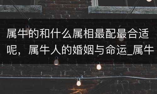 属牛的和什么属相最配最合适呢，属牛人的婚姻与命运_属牛的和什