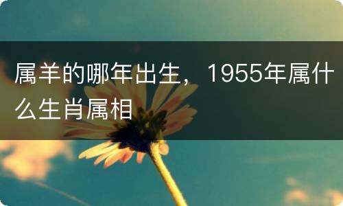 属羊的哪年出生，1955年属什么生肖属相