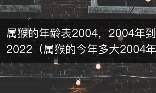 属猴的年龄表2004，2004年到2022（属猴的今年多大2004年）