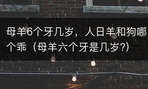 母羊6个牙几岁，人日羊和狗哪个乖（母羊六个牙是几岁?）