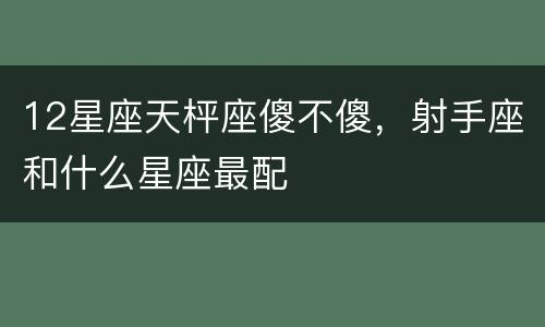 12星座天枰座傻不傻，射手座和什么星座最配