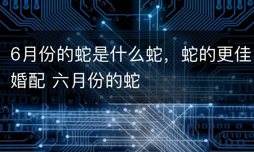6月份的蛇是什么蛇，蛇的更佳婚配 六月份的蛇