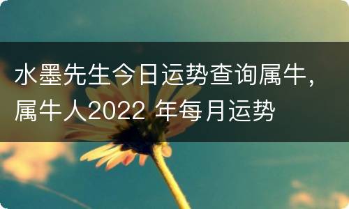 水墨先生今日运势查询属牛，属牛人2022 年每月运势
