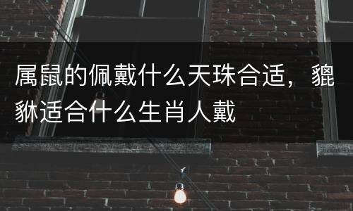 属鼠的佩戴什么天珠合适，貔貅适合什么生肖人戴