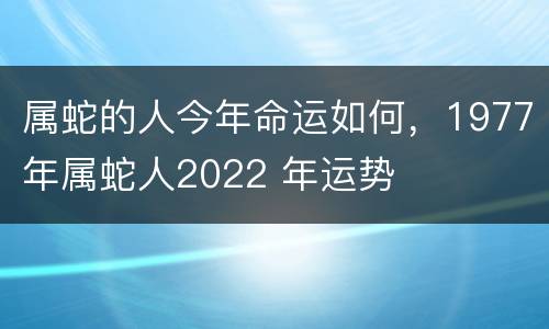属蛇的人今年命运如何，1977年属蛇人2022 年运势