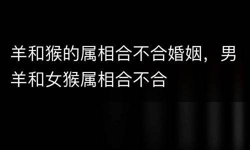 羊和猴的属相合不合婚姻，男羊和女猴属相合不合