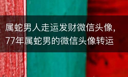 属蛇男人走运发财微信头像，77年属蛇男的微信头像转运