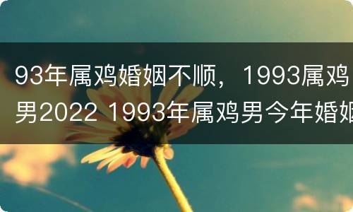 93年属鸡婚姻不顺，1993属鸡男2022 1993年属鸡男今年婚姻状况如何