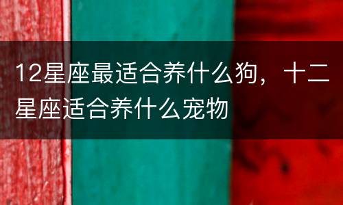 12星座最适合养什么狗，十二星座适合养什么宠物