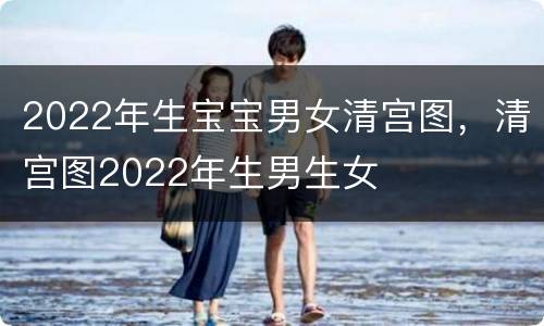 2022年生宝宝男女清宫图，清宫图2022年生男生女