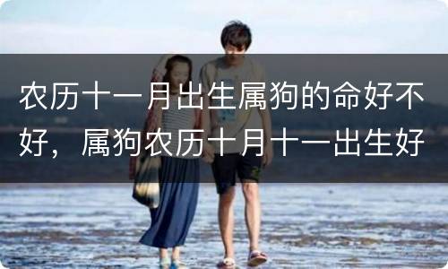 农历十一月出生属狗的命好不好，属狗农历十月十一出生好吗