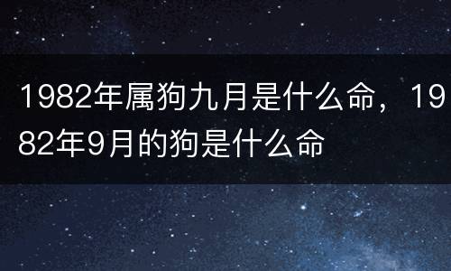 1982年属狗九月是什么命，1982年9月的狗是什么命