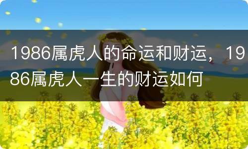 1986属虎人的命运和财运，1986属虎人一生的财运如何