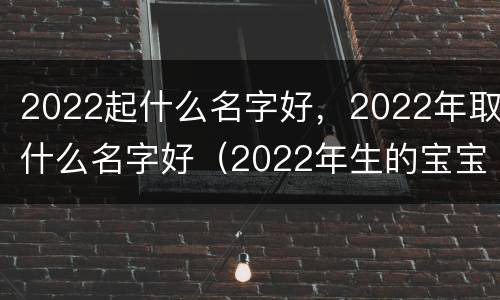 2022起什么名字好，2022年取什么名字好（2022年生的宝宝怎么取名字）