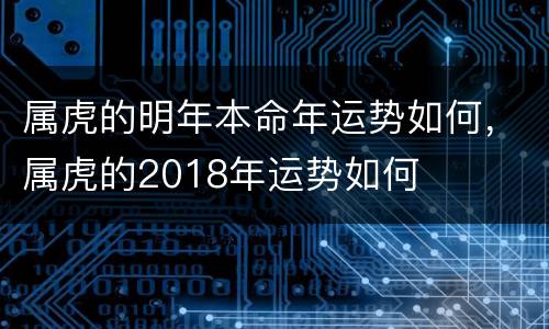 属虎的明年本命年运势如何，属虎的2018年运势如何