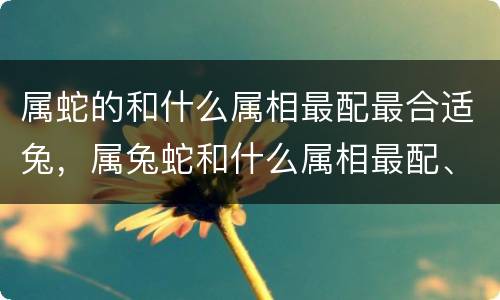 属蛇的和什么属相最配最合适兔，属兔蛇和什么属相最配、相克