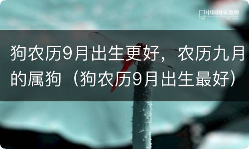 狗农历9月出生更好，农历九月的属狗（狗农历9月出生最好）
