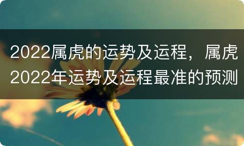 2022属虎的运势及运程，属虎2022年运势及运程最准的预测
