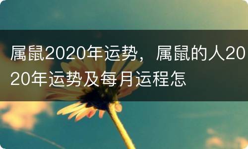 属鼠2020年运势，属鼠的人2020年运势及每月运程怎