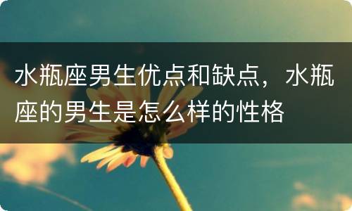 水瓶座男生优点和缺点，水瓶座的男生是怎么样的性格