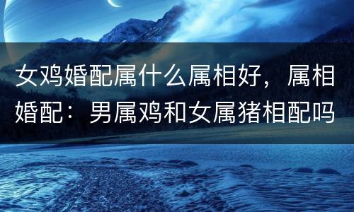 女鸡婚配属什么属相好，属相婚配：男属鸡和女属猪相配吗