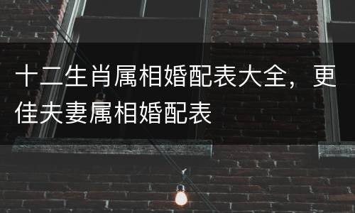 十二生肖属相婚配表大全，更佳夫妻属相婚配表