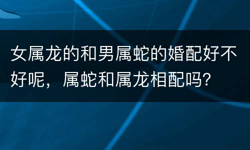 女属龙的和男属蛇的婚配好不好呢，属蛇和属龙相配吗？